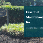 1-bedroom apartment maintenance tips