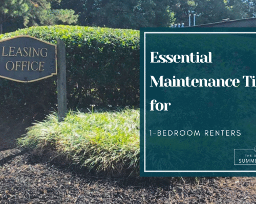 Essential Maintenance Tips for 1-Bedroom Renters