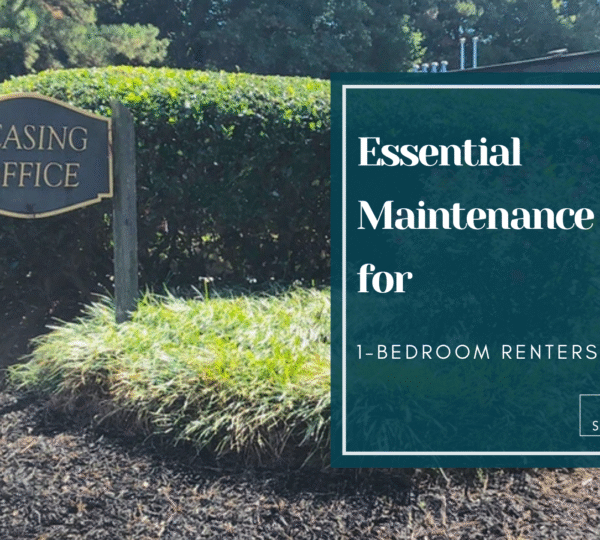 Essential Maintenance Tips for 1-Bedroom Renters