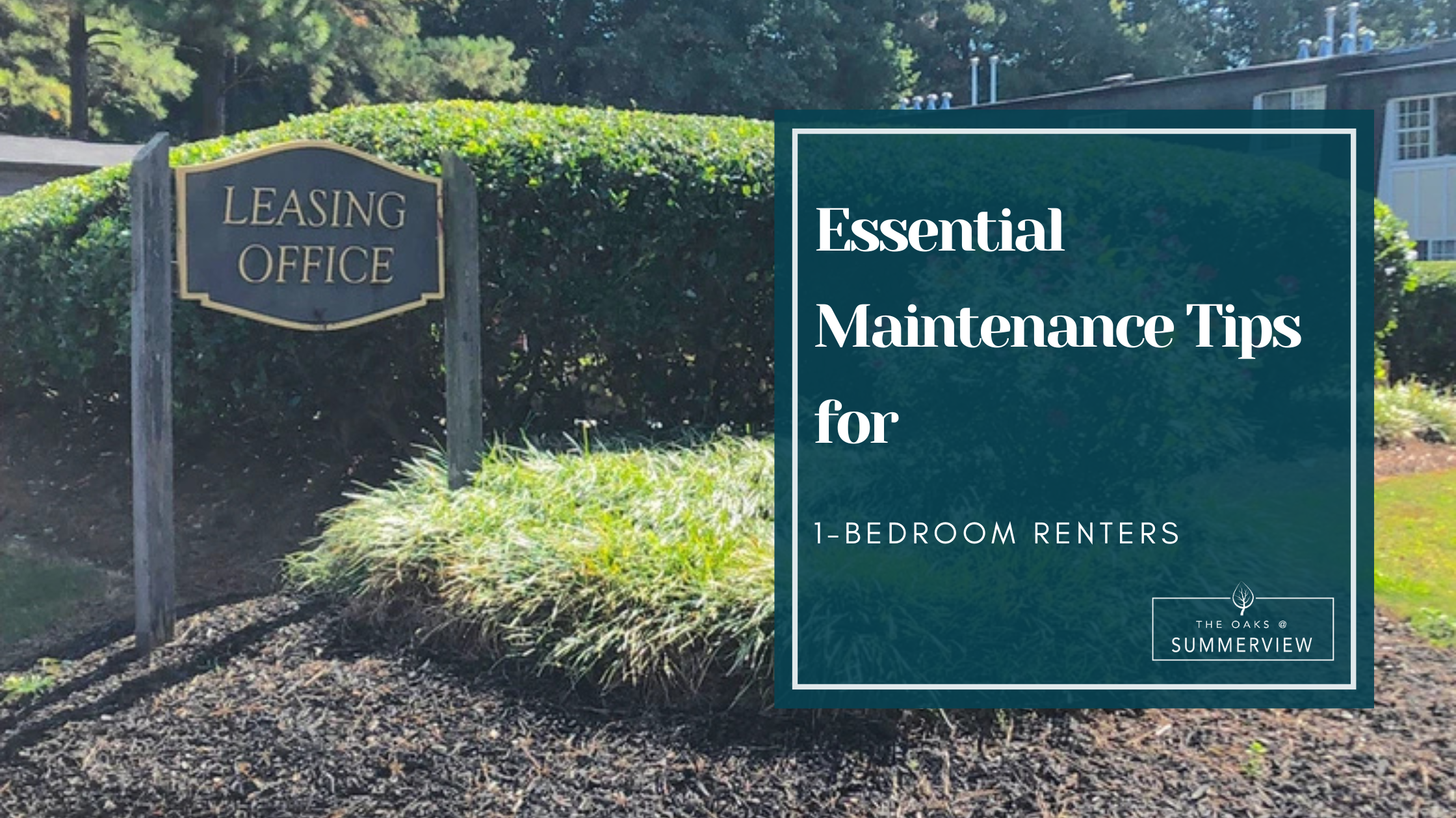 1-bedroom apartment maintenance tips