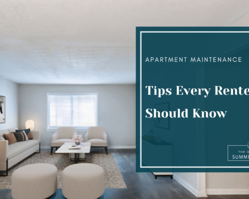 Apartment Maintenance Tips Every Renter Should Know