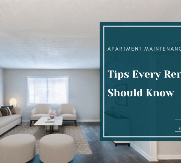 Apartment Maintenance Tips Every Renter Should Know